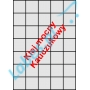 Etykiety A4 klej wzmocniony 42x42,42
